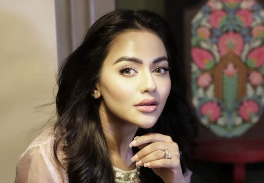 বিমানবন্দর থেকে গেফতার নুসরাত ফারিয়া, কী দোষ অভিনেত্রীর?